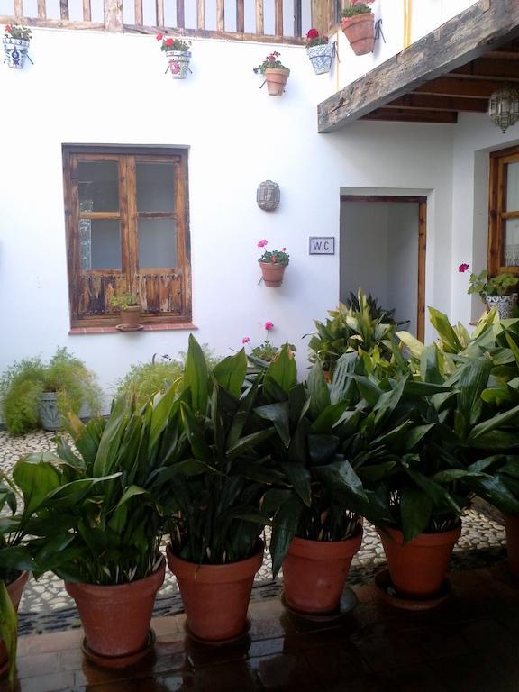 Cuevas Pedro Antonio De Alarcon Apartment Guadix Exterior photo